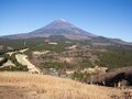 富士山見るための「特等席」！  標高1504mの静岡の百山・越前岳「往復4時間半」トレッキングレポートの画像002