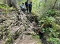 山は誰が守っていくのか？  従来の枠組みを超えた「未来型の登山道管理」へ【100年先までつなぐ、大雪山の自然と登山道 vol.3】の画像007