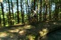 【自転車】田舎道を “グラベルバイク” で巡るサイクリング！  信州「伊那谷」の夏  “おいしいとこをちょっとずつ！”   長野県伊那市、宮田村 2025年の画像002
