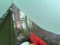 「1枚のシートが屋根や壁に早変わり」ハンモックと組み合わせるタープの選び方＜素材、大きさ、重量編＞【ハンモックハイキング -基礎と応用- vol.14】の画像005