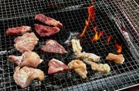 【肉が主役のキャンプ】高コスパ2,000円＆手間いらず！  信州「肉屋が営むキャンプ場」の「おまかせ精肉セット」で極上“肉キャン”！  現地レポ