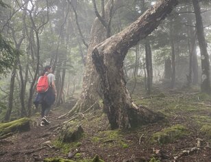 登山でヒザが痛くなる人必見！「カラダの専門家」現役指圧師が教える「1人でできる」膝痛予防「たった3つ」の基本