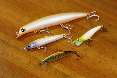 これぞまさに酒の肴！？ 語りつくせぬ「ルアーカラー」のディープな“沼