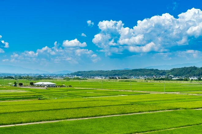 【自転車】田舎道を “グラベルバイク” で巡るサイクリング！  信州「伊那谷」の夏  “おいしいとこをちょっとずつ！”   長野県伊那市、宮田村 2025年の画像010
