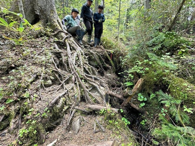 山は誰が守っていくのか？  従来の枠組みを超えた「未来型の登山道管理」へ【100年先までつなぐ、大雪山の自然と登山道 vol.3】の画像007