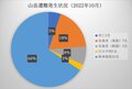 遭難過去最多！「絶対に必要な登山装備を知っていますか？」2022年10月 山梨県警【山岳遭難のリアル】月次レポートの画像002