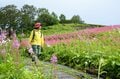 秋の気配が漂う『長野県 白馬バレー』 大人も子どもも“楽しい”がいっぱいのアクティビティの宝庫「森のアドベンチャー＆高山植物園＆爽快BBQ」の画像006