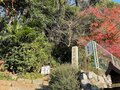 12年に一度「辰年にしか見れないお宝」を拝観。大阪近郊冬ハイキング満喫ルート【里山アドベンチャー！ソトアソ日和 vol.13】の画像010