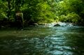 【渓流釣り】夏の終わり、尺まで届け！ 「藪を漕ぎ、大物イワナの “テッパン” ポイントへ」  長野県｜2026年の画像004