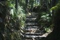 【和歌山県】海・山の風を感じ歴史に思いを馳せながら 注目の世界遺産「熊野古道」に触れる旅  e-BIKEで和歌山 熊野を巡るトレイル【グランドメルキュール和歌山みなべ のアクティビティ「結びビト」体験レポート】の画像007