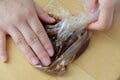 じつは春巻きの皮はBBQ向き食材！？「野菜たっぷり北京ダック風チキン」【季節の外ごはん vol.62】の画像006