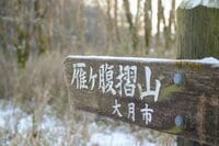 「五百円紙幣の撮影地」富士山のベストビュースポット “雁ヶ腹摺山” ってどんな山！？