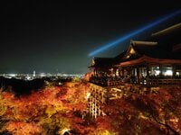 意外すぎる「12月が見頃」スポットも！  京都「穴場の紅葉」名所「時期＆場所」ズラシ実践「秋の旅ワザ」レポ