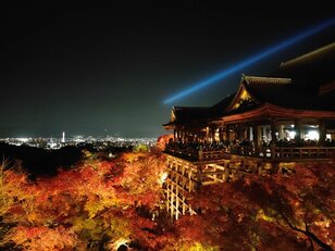 意外すぎる「12月が見頃」スポットも！  京都「穴場の紅葉」名所「時期＆場所」ズラシ実践「秋の旅ワザ」レポ