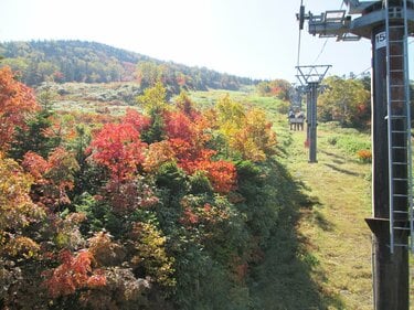 山形県 天元台ロープウェイ 日本百名山 西吾妻山 高層湿原に点在する 池塘や草紅葉 変化に富んだ登山道はフォトスポットが大充実 概要 アクティビティ Pr Bravo Mountain