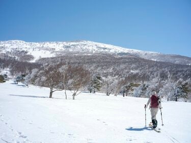 今年はまだ見頃！ まだ間に合う」 神秘的な樹氷輝く森へ【根子岳