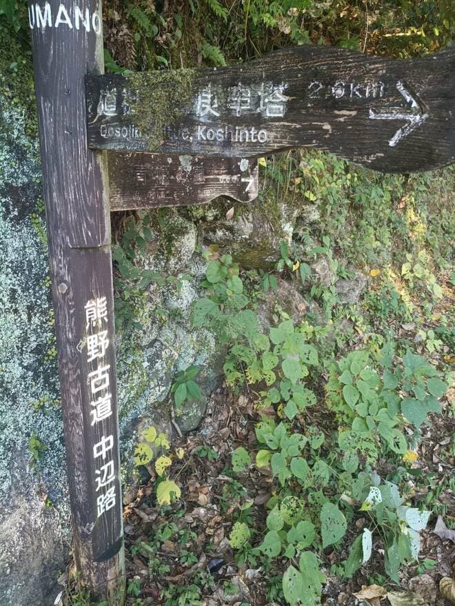 【地域おこしのカギとなれるか】世界遺産に登録されなかった “幻の熊野古道”「奥辺路」とは？【耕して、焙煎して、走る男　人口2,800人の村に移住してみました vol.12】の画像004