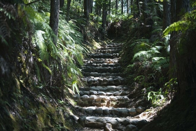 【和歌山県】海・山の風を感じ歴史に思いを馳せながら 注目の世界遺産「熊野古道」に触れる旅  e-BIKEで和歌山 熊野を巡るトレイル【グランドメルキュール和歌山みなべ のアクティビティ「結びビト」体験レポート】の画像007