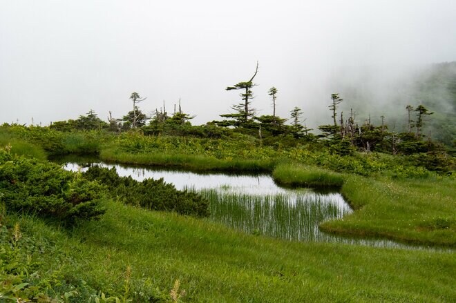 【山形県・天元台ナビ】山形の避暑地「夏の天元台高原」は楽しみがいっぱい！  天空のアウトドアアクティビティ、絶景スポット、食にお酒に温泉など魅力をまとめて紹介！の画像005