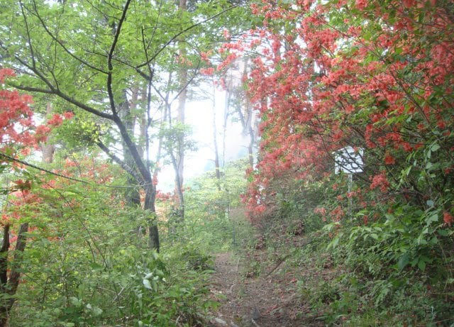 夏の涼！  富士山近くの穴場的「滝スポット」3選！  首都圏からアクセスしやすい富士吉田市＆南都留郡西桂町から、駐車場徒歩30分以内で厳選の画像005