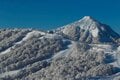 【舞子スノーリゾート・新潟県】塩沢石打ICから「1分」のエリアで至福の雪山体験をの画像003