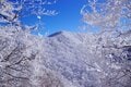 ”関東屈指の霧氷の美しさ”を誇る百名山「赤城山」で山初め。雪山ハイクと初詣と寄り道と＜前編＞【今日も山旅気分 vol.14】の画像001