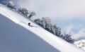 【ロッテアライリゾート・新潟県】圧倒的な積雪量に恵まれた“プレミアムリゾート”は滑るだけじゃもったいない「至極のスノーランド」の画像005