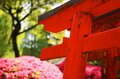 「ツツジ」満開の東京 江戸の情景に満ちた庭園を色鮮やかに染める春の絶景「根津神社」「六義園」【東京都 文京区】の画像003