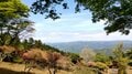 世界文化遺産の山「比叡山」京都・雲母坂から「延暦寺」東塔へ「古道の登山」レポートの画像003