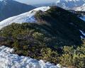 北アルプス「雪山デビュー」に最適！ 春の残雪期・4月初旬「西穂丸山」の絶景！ 新穂高ロープウェイ利用「片道2時間」高校生の娘と「登山レポ」の画像007