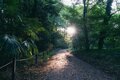 たった10kmの自転車周遊「ミズイチ」ってなに？  23区随一の水郷公園なら30分でもかなりエピック【ゆる6輪の旅 vol.01 水元公園】の画像008