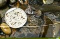 【渓流釣り】素直すぎるイワナたち！ 「各ポイントから気前よく飛び出してくれるのは、腹ペコだから！？」 水辺の観察も楽しいフライフィッシング   新潟県・2025年の画像003