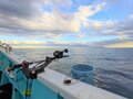 「海釣り初心者」でもこんなに釣れた！  熱海でタイ、カツオ、サバが大漁！  お味も美味しすぎ「正直感動レポート」の画像007