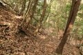 次々に現れる切岸に驚きの連続！  大勢力のはざまで揺れた小豪族の宿命　石見国・松山城〈前編〉（島根県江津市）【戦国の山城を攻める vol.03】の画像011