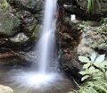 樹齢670年「梅の古木」も！  関東三大梅林の一つ「越生梅林」 春待ち散策＆景勝「黒山三滝」ウォーキングの画像004