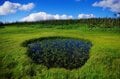 「8月は北の高原へ」 広大な森と変化に富む湿原を気持ちよく歩く＜日本百名山・八幡平＞【月めくりの低山カレンダー #08】の画像005