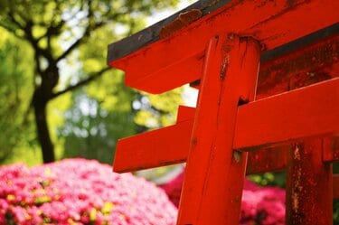 ツツジ」満開の東京 江戸の情景に満ちた庭園を色鮮やかに染める春の