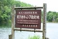 【日本初の試み】「テントに代わる新たな選択肢？」八ヶ岳の山中で試験的に「ハンモック専用サイト」がオープンの画像008