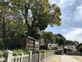 日本武尊が白鳥になり降り立った！ パワースポットで「勝みくじ」を引く【関西おみくじジャーニー vol.06「大鳥大社」大阪府堺市】の画像004
