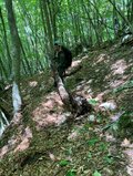 準備で8割決まる「山の小屋開け」はお祭り騒ぎ！【わたし、山小屋はじめます vol.59】の画像003