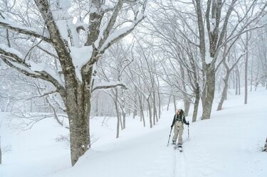 隠れ家的バックカントリー” 新潟・長野の県境にひっそりと佇む「一難場