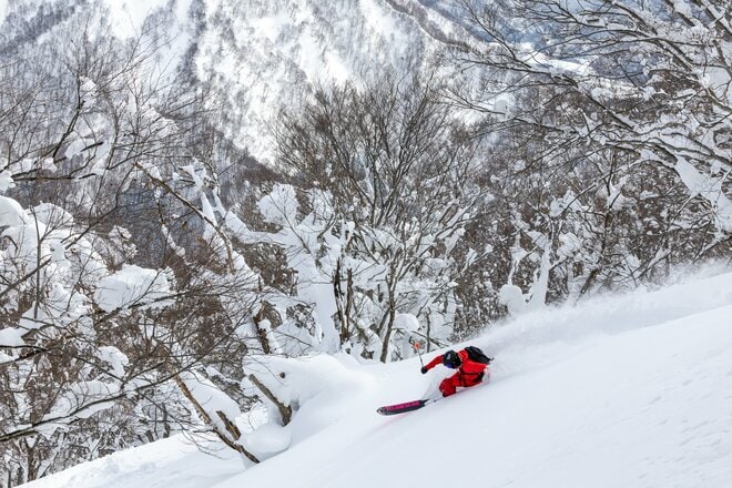 【新雪パウダー狙いならココ！ 2025/26シーズン】浮遊感が病みつき！  北海道・新潟・長野・群馬の「パウダー滑走におすすめのゲレンデ」7選の画像006