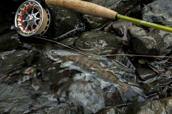 【渓流釣り】シーズン初頭からライズを狙ってサイトフィッシング！ 「春の陽気に高活性のアマゴをドライフライで釣る」 天竜川支流｜2026年2月下旬の画像005