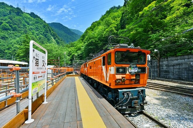 「黒部峡谷鉄道」2026年10月1日に全線再開！  幻の駅 “猫又駅” 今を逃すともう降りられない！？ 「創立55周年記念ヘッドマーク」も登場【富山県黒部市】の画像005