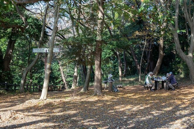 都市部で2時間「駅からハイキング」横浜市金沢区「大丸山」レポ！思わず嬉しくなる“街チカ”とは思えない、豊かな自然＆展望！の画像005