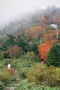 【富士山の次に登る山 vol.3】登山の魅力はムゲン大「複数の頂を踏む連峰」 四国アルプス・屋久島・信越トレイルの画像002