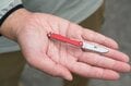 【本当にあった怖〜い話】 勘違いで銃刀法違反？ 「アウトドア用刃物の持ち運び」の失敗談の画像004