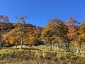 今週末の紅葉見るならどこ？ 名所＆人気スポットから最新情報をお届け「WEEKLY紅葉ニュース」【2023年10月第3週】の画像002