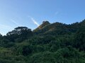 【首都圏近郊】1時間で登れるとは思えない絶景！  房総のマッターホルンこと「伊予ヶ岳」は今からのシーズンがおすすめの画像027