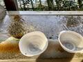 あこがれの街「吉祥寺」の2大アウトドアスポット！  井の頭恩賜公園「井の頭弁財天」&「武蔵野八幡宮」  歴史と自然の「2.7kmウォーキング」の画像002